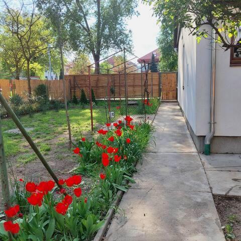 Ujszeged Apartman Kültér fotó