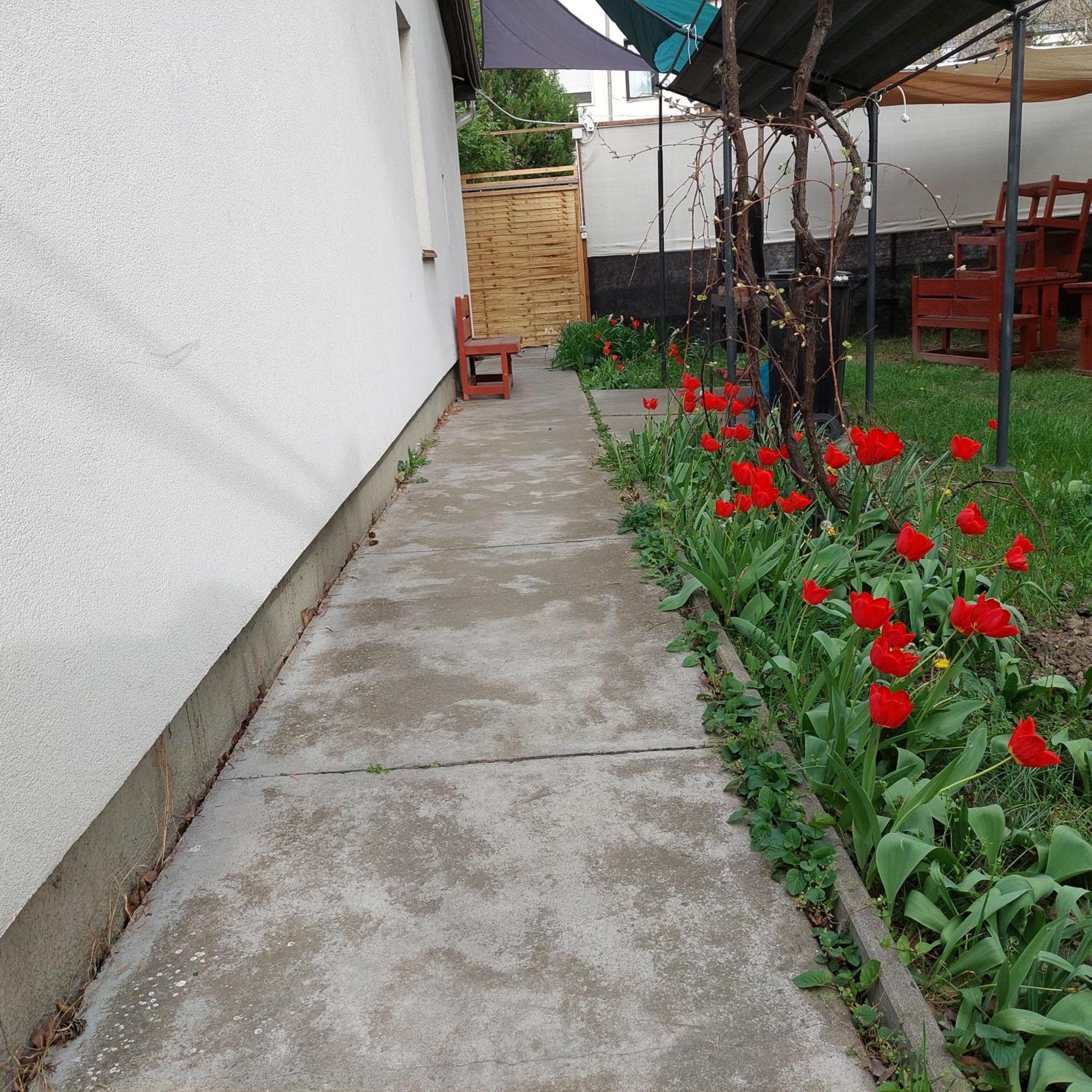 Ujszeged Apartman Kültér fotó